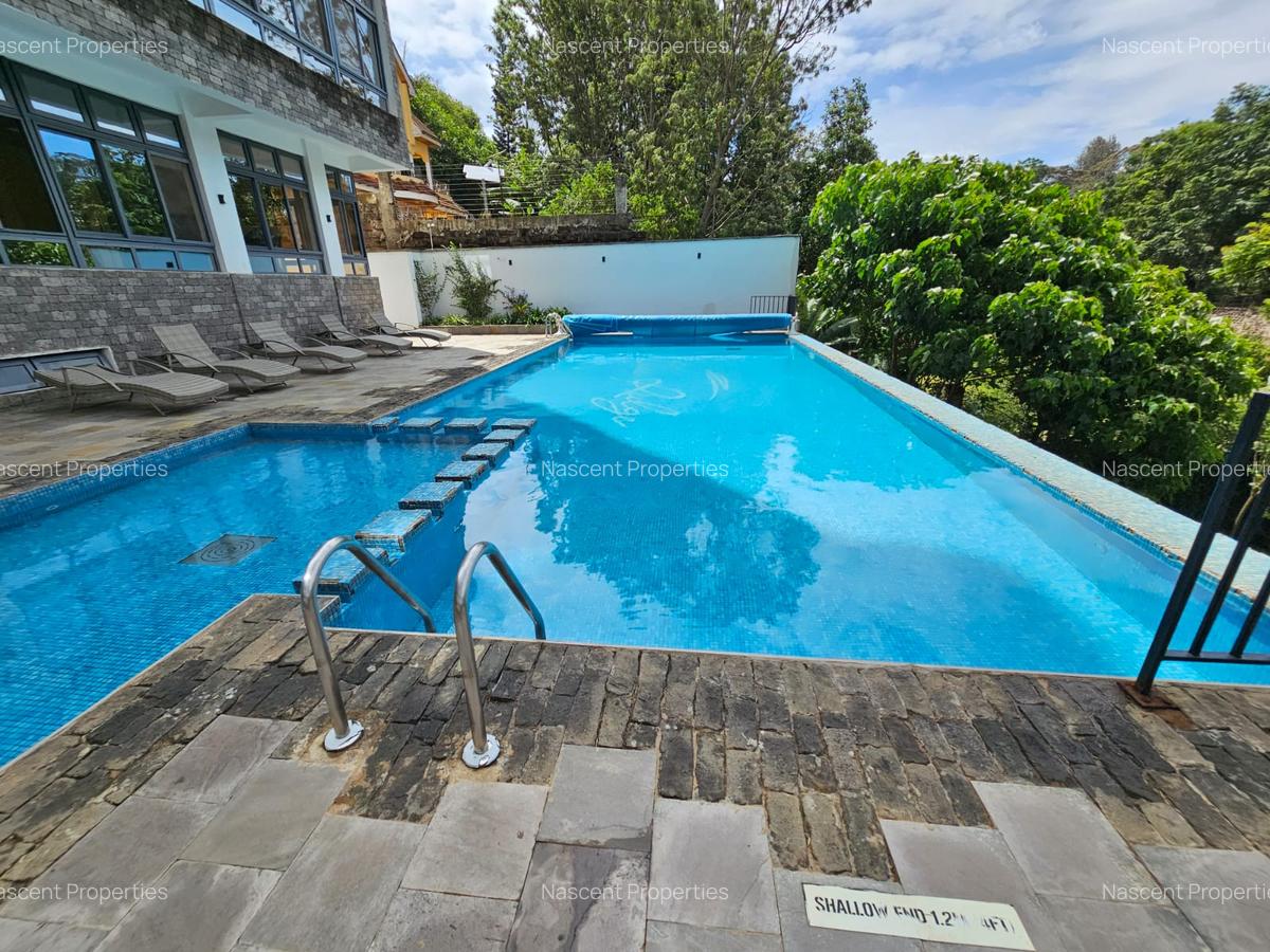 Serviced 3 Bed Apartment with En Suite in Spring Valley - 14