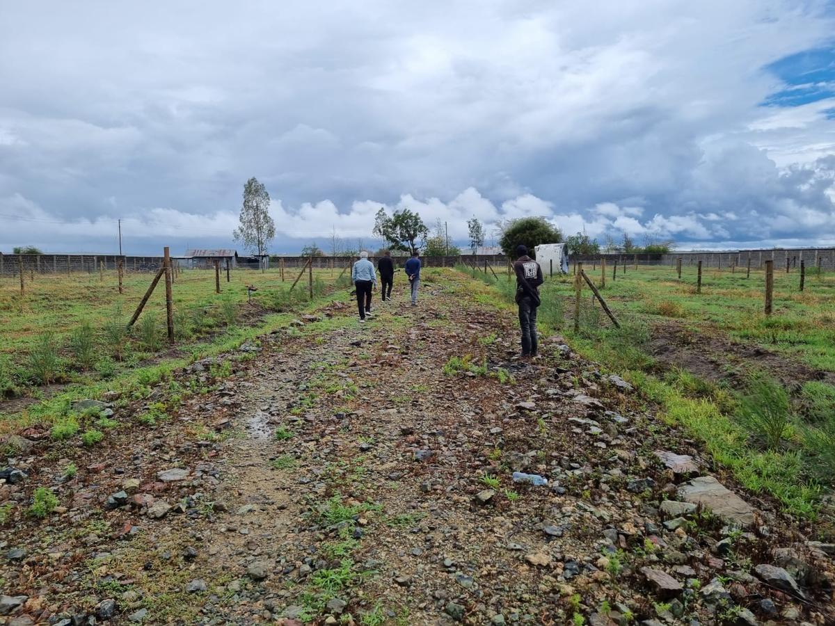 0.05 ha Residential Land at Kwa Saitoti - 11