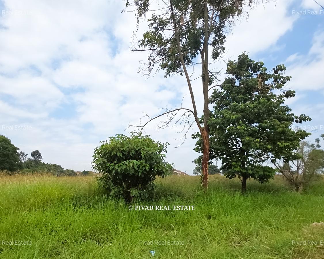 0.25 ac Land in Runda - 2