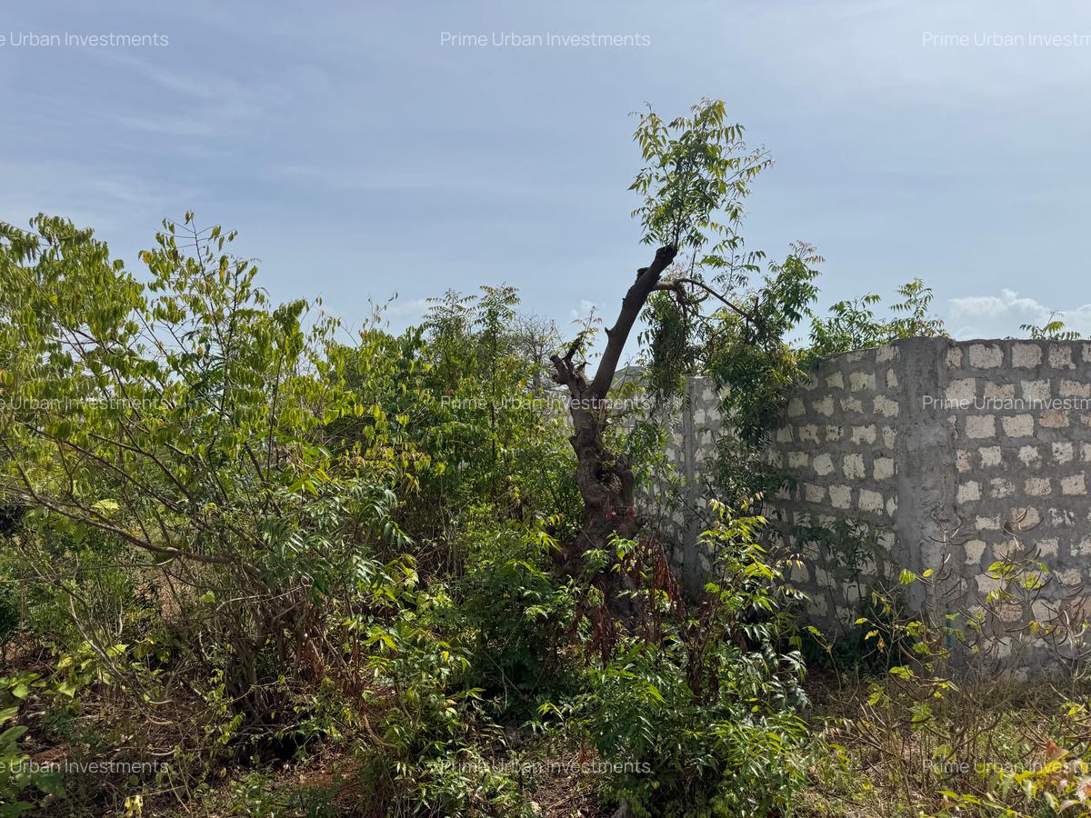 Land in Kilifi - 10