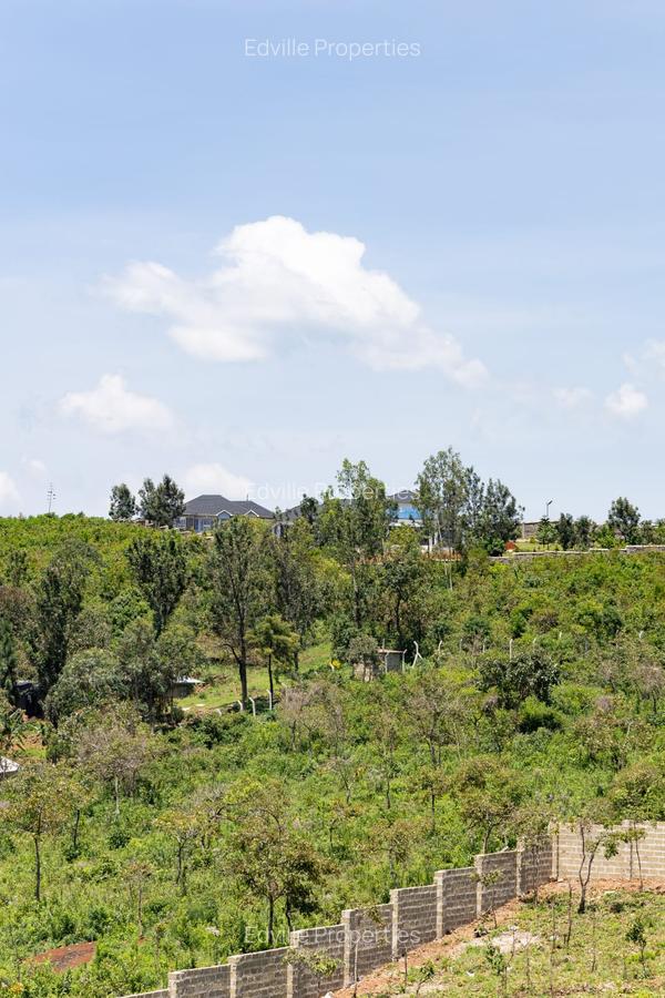 Residential Land at Riat - 7