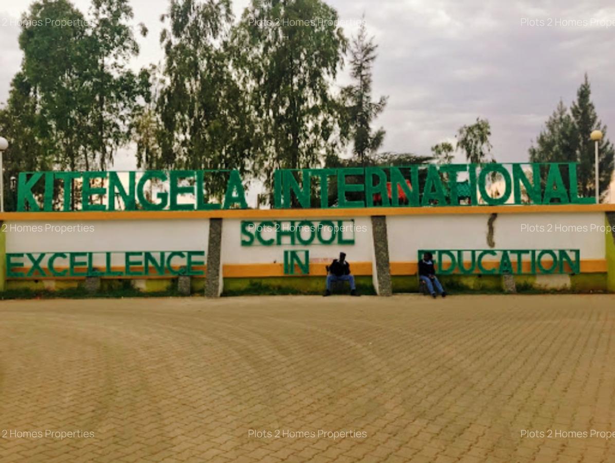 40 ac Land at Yukos - 17