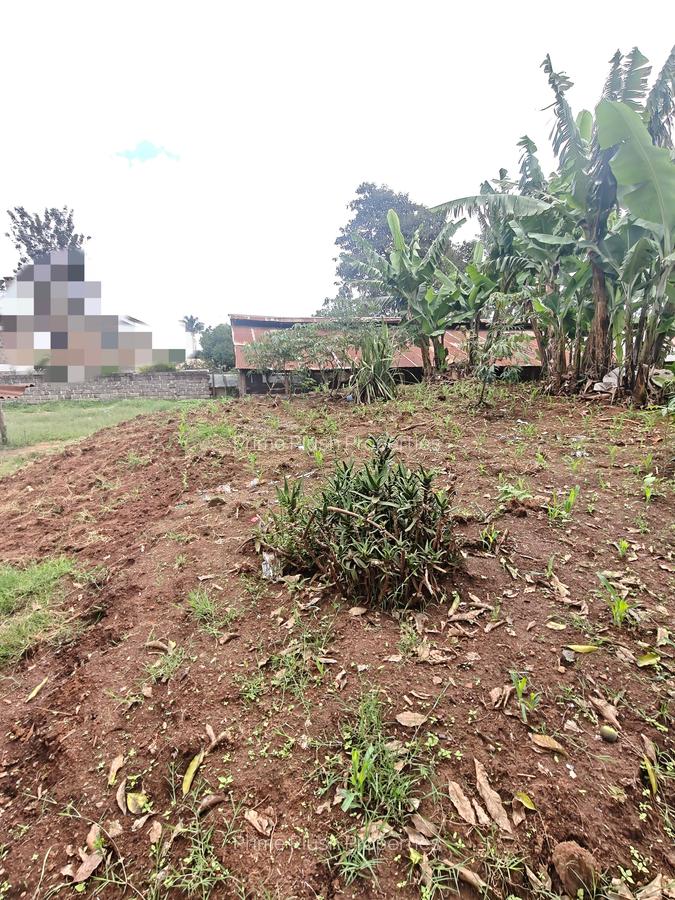 0.5 ac Land in Thome - 3