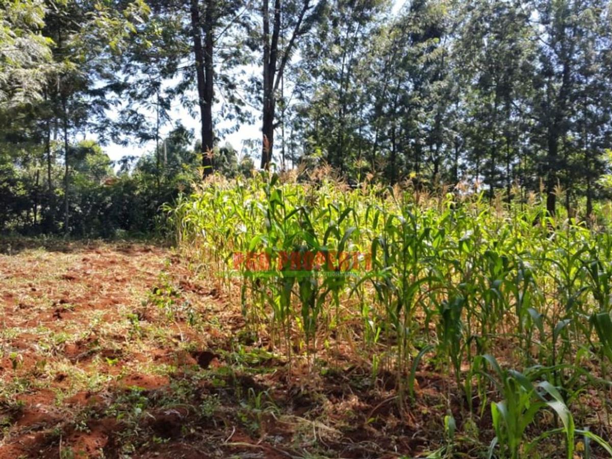 1,000 m² Residential Land in Kikuyu Town - 10