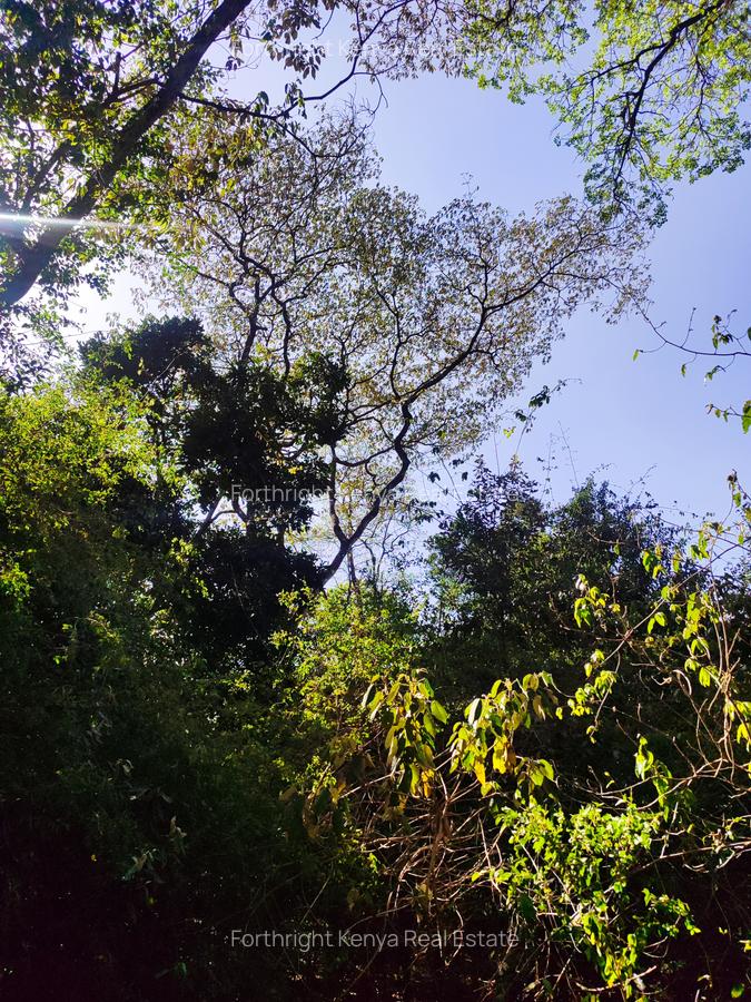 0.5 ac Land at Hardy - 3