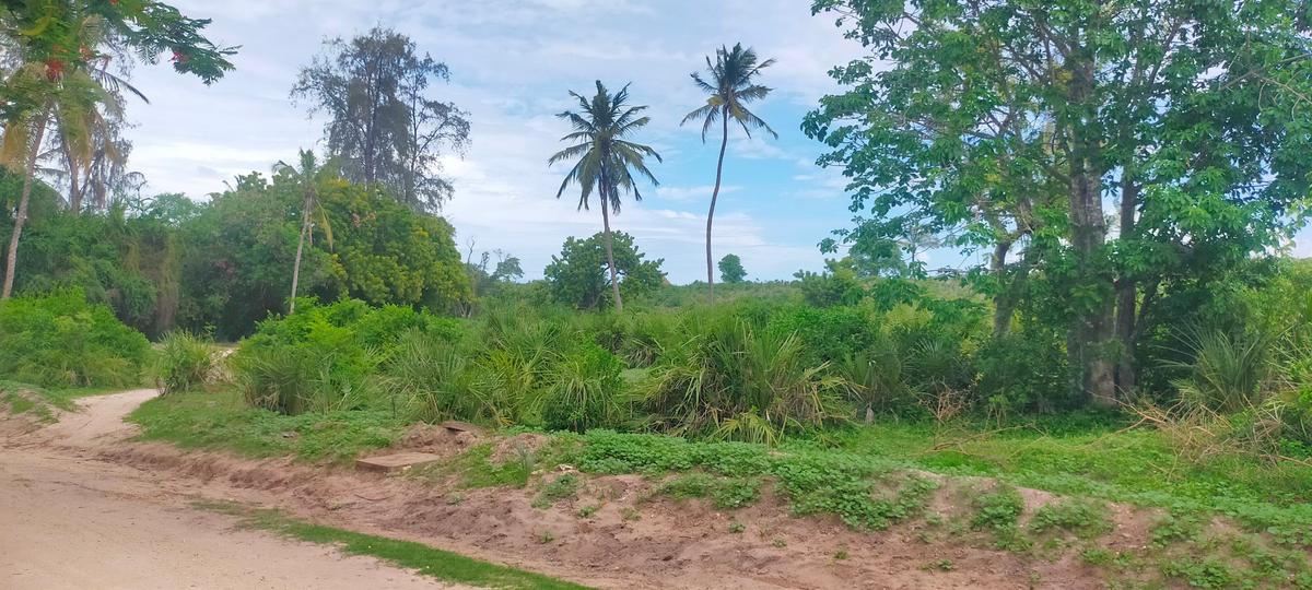 10 ac Land at Majengo - 14