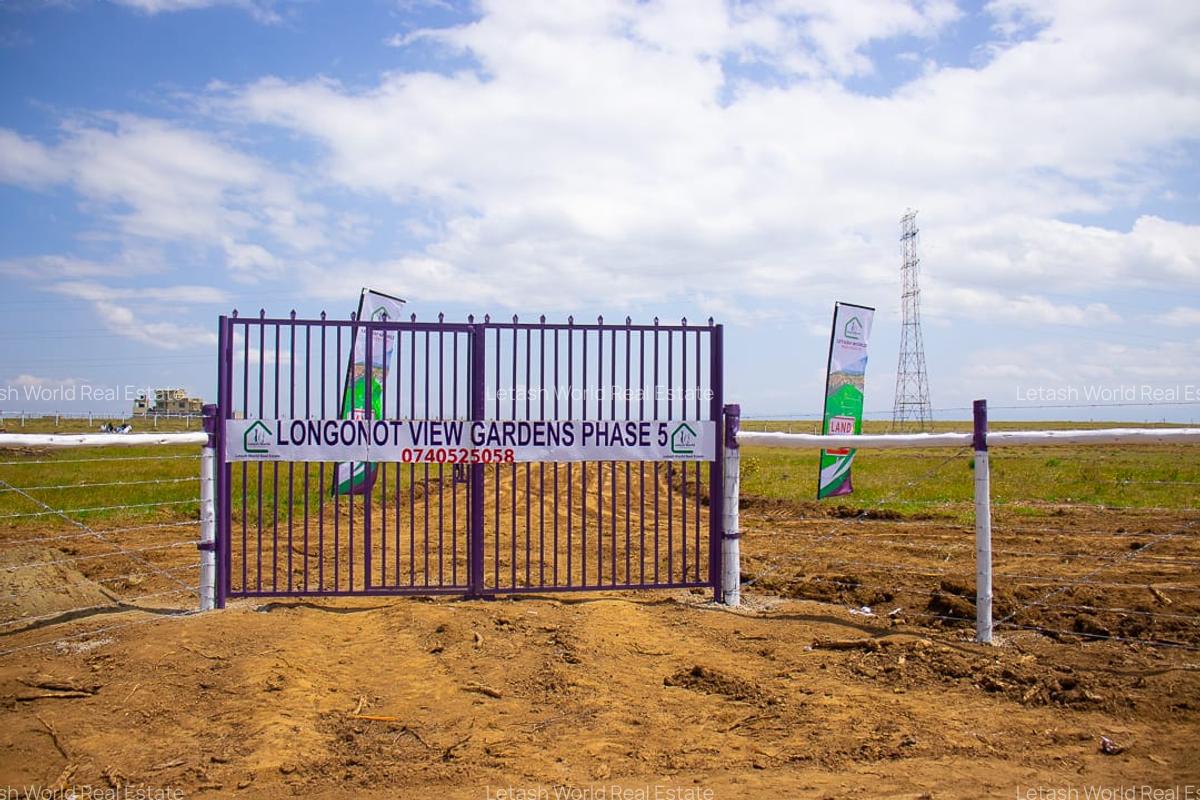 Land in Naivasha - 7