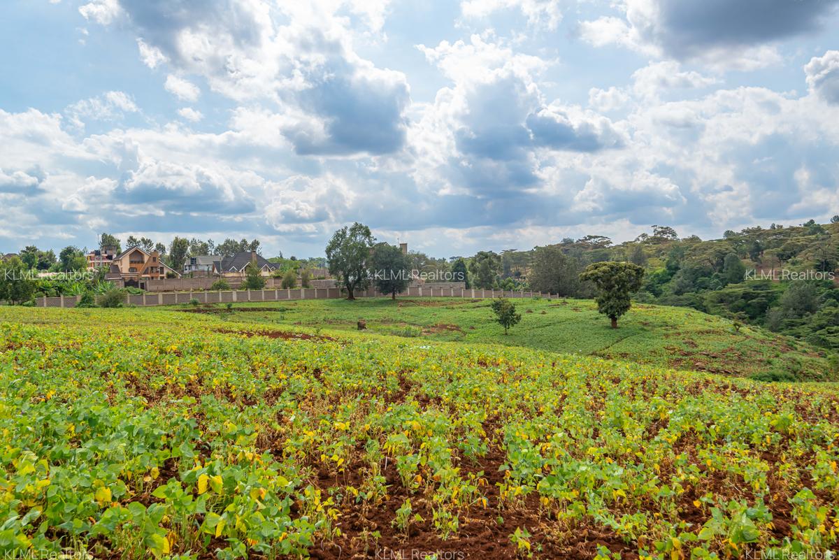 Residential Land in Kiambu Town - 6