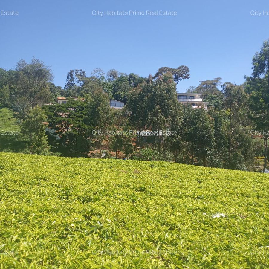 0.5 ac Residential Land in Tigoni - 1