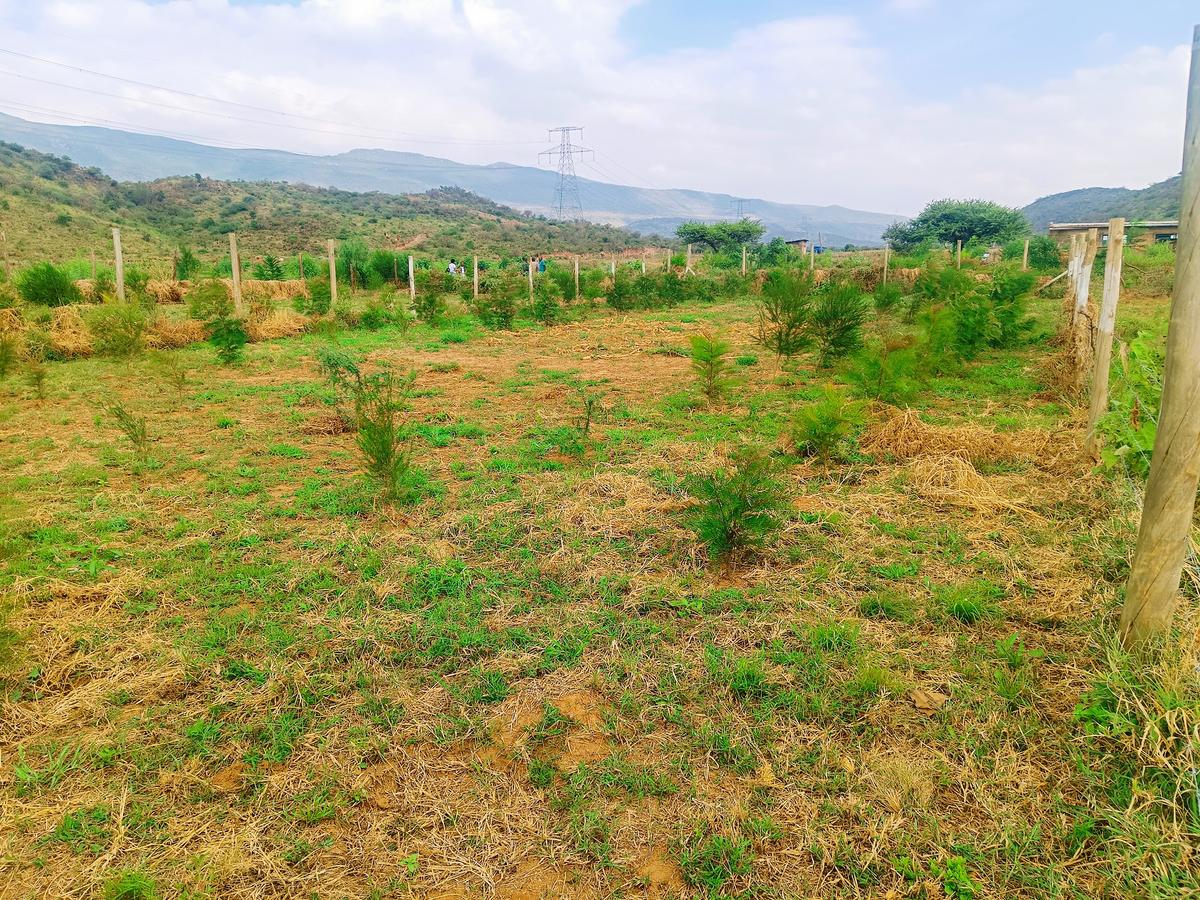 500 m² Residential Land at Ndiuni - 2