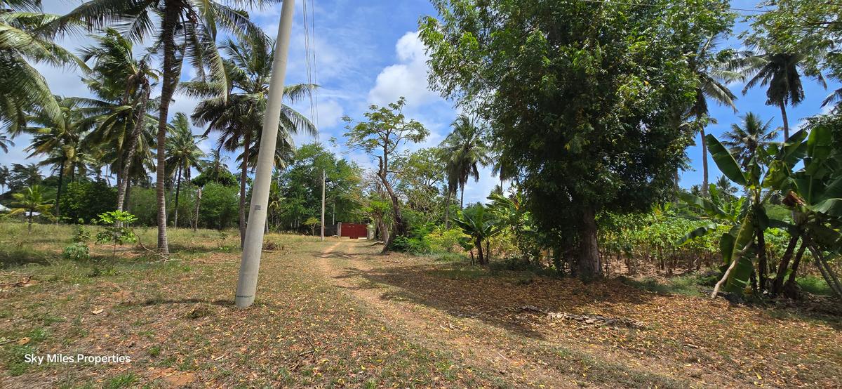 6 ac Land at Bomani - 6