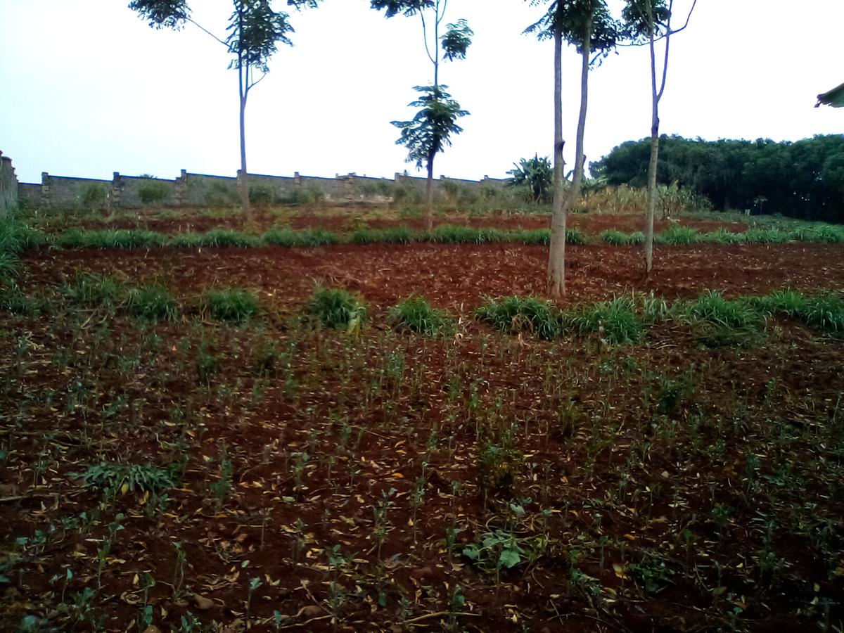 Land at Runda - 8