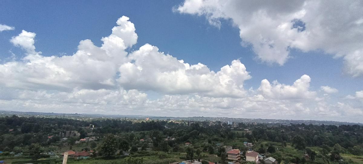 1 Bed Apartment with En Suite at Kirawa Rd - 4