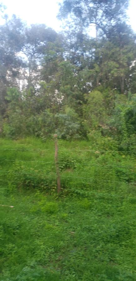 Residential Land in Karen - 6