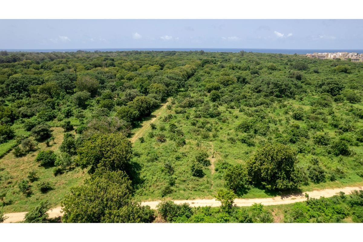 Residential Land in Vipingo - 14