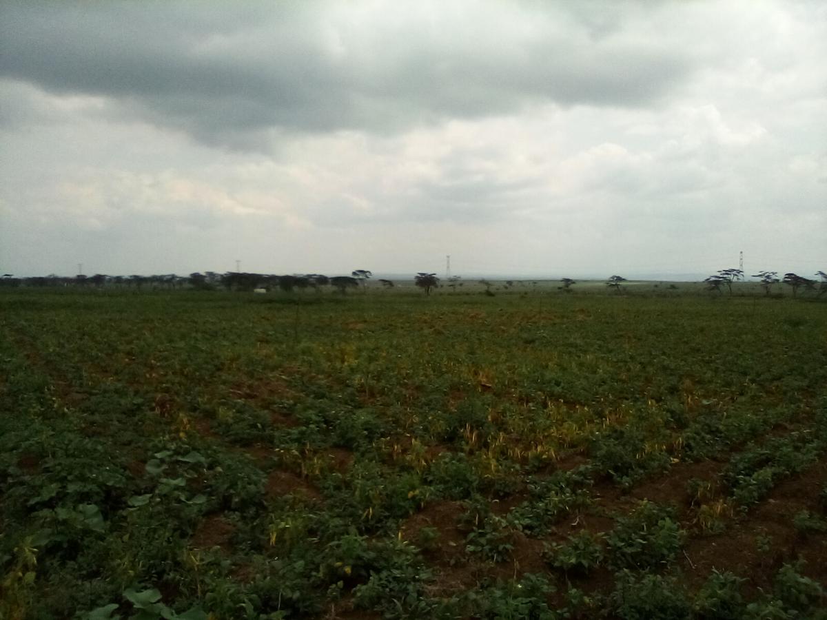 Land at Nanyuki-Rumuruti Rd - 5