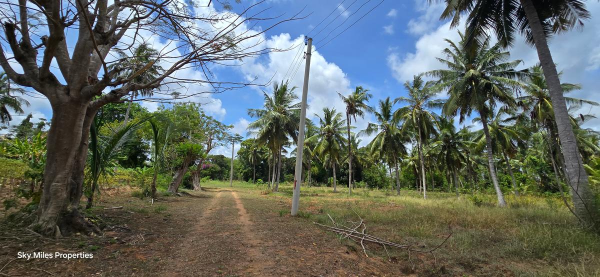 6 ac Land at Bomani - 4