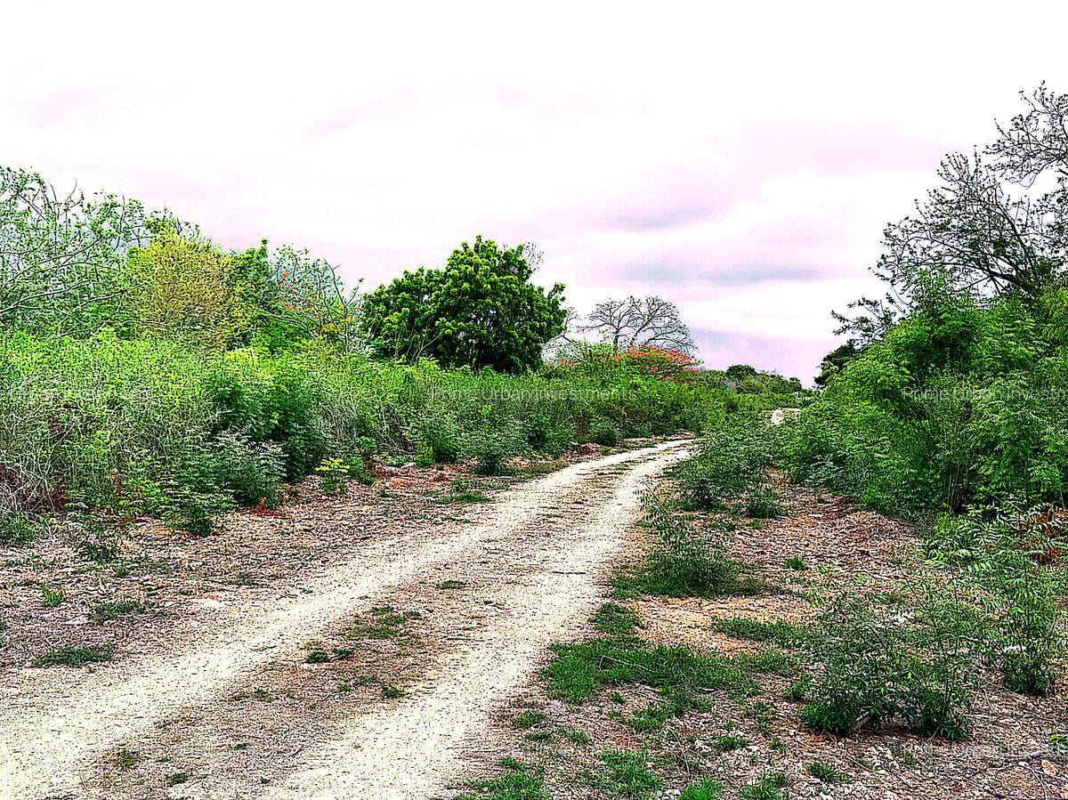 2,010 m² Residential Land at Second Row Kuruwitu Beach - 4