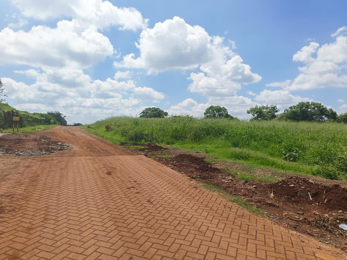 25 ac Land at Off Paradise Lost Road - 6