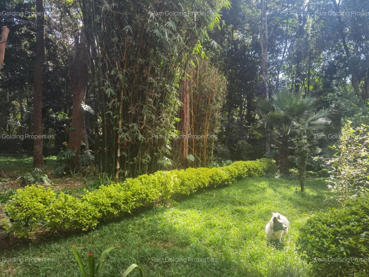 2 Bed House with En Suite in Karen - 14