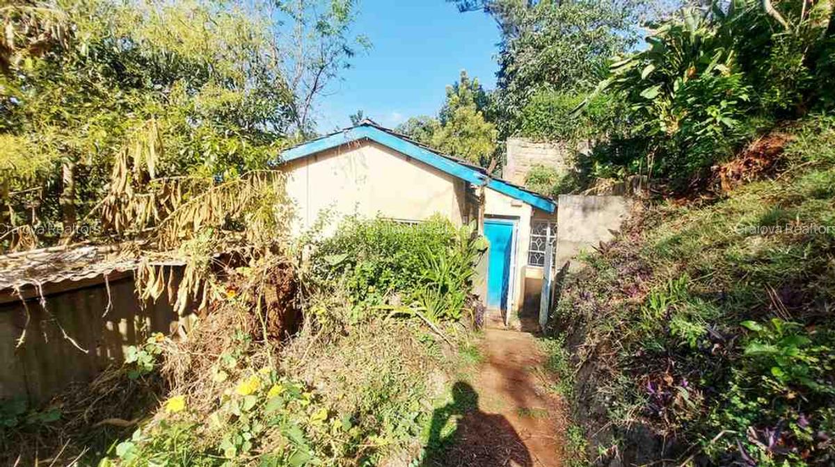 4 Bed House with En Suite at Loresho Ridge - 20