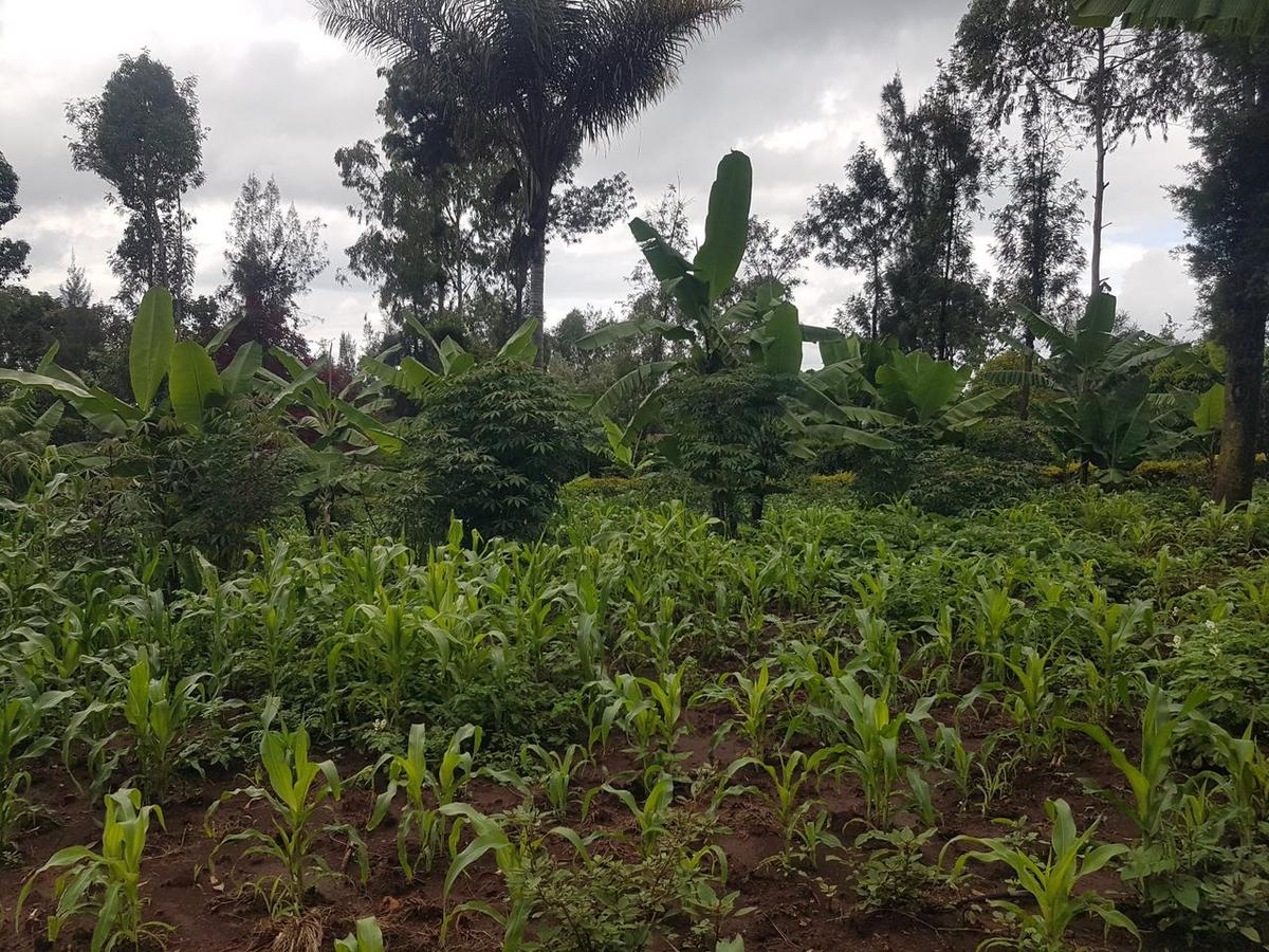 1.25 ac Land in Ngong - 4