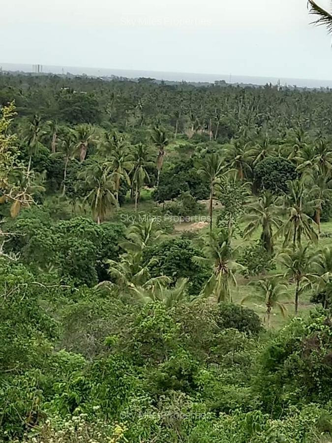 6 m² Land at Bomani - 3