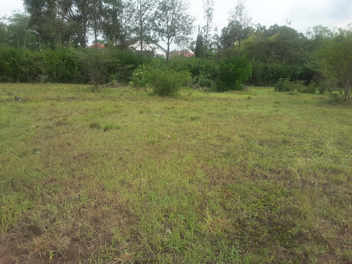 0.5 ac Residential Land in Karen - 7