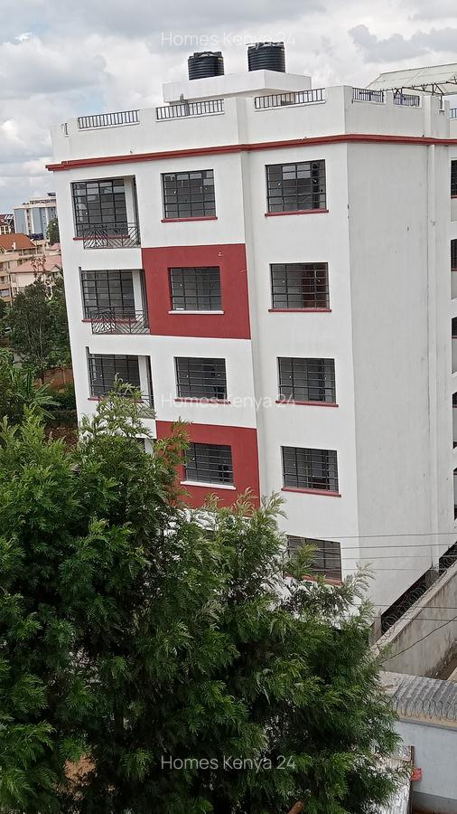 3 Bed Apartment in Ruaka - 11