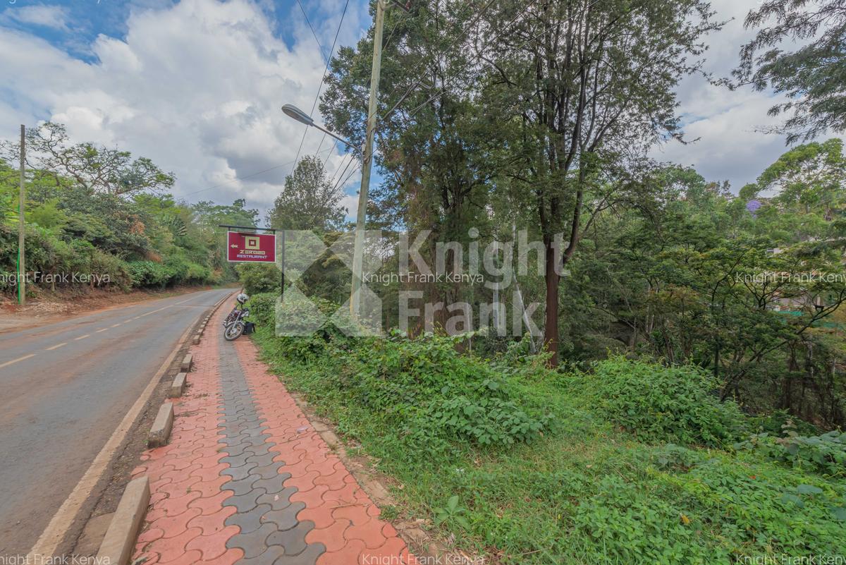 0.49 ac Land at Kitisuru Road - 4