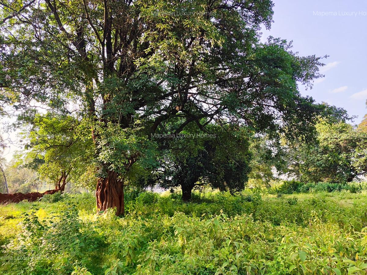 Residential Land at Karen - 8