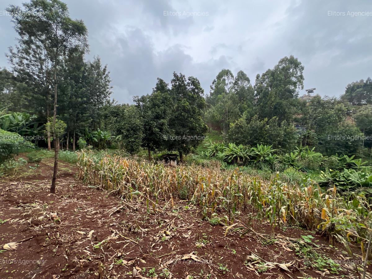 0.42 ac Residential Land at Kirawa Road - 9