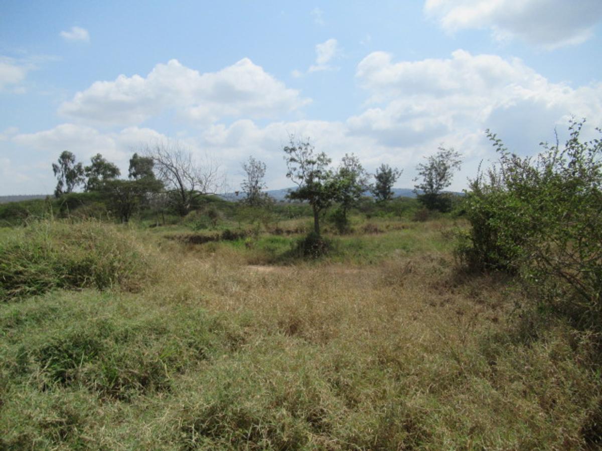 Commercial Land at Maanzoni - 6