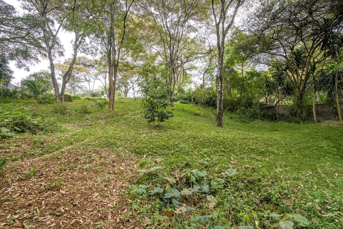 0.71 ac Commercial Land in Muthaiga - 6