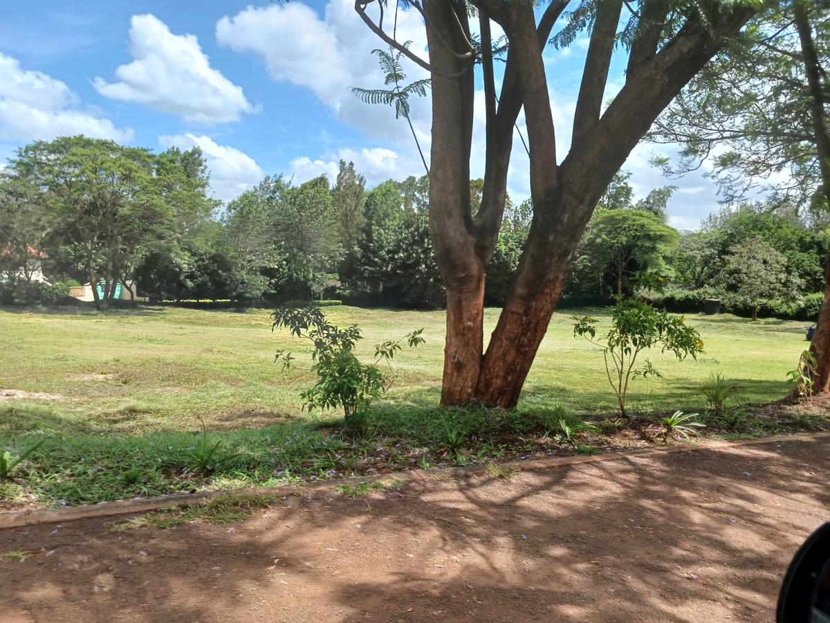 2.25 ac Land at Kitisuru - 1