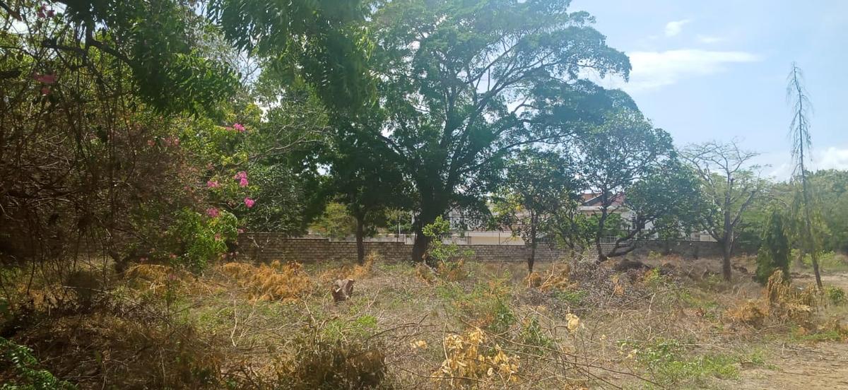 0.25 ac Land at Greenwood Drive Nyali - 5