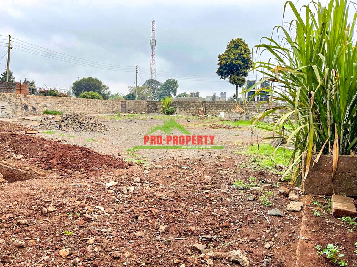 0.1 ha Commercial Land at Sigona - 4