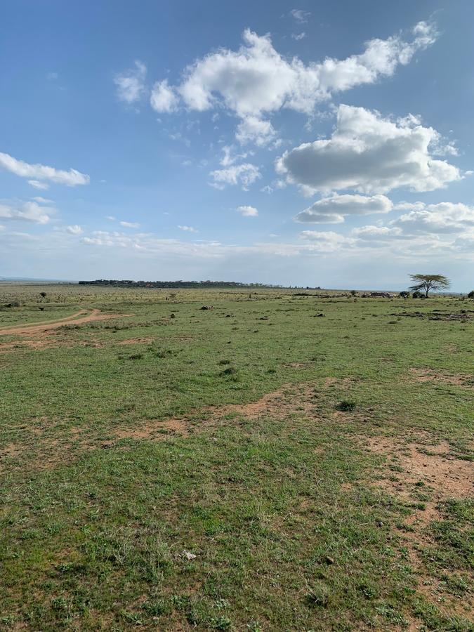 9.6 ac Land in Nanyuki - 4