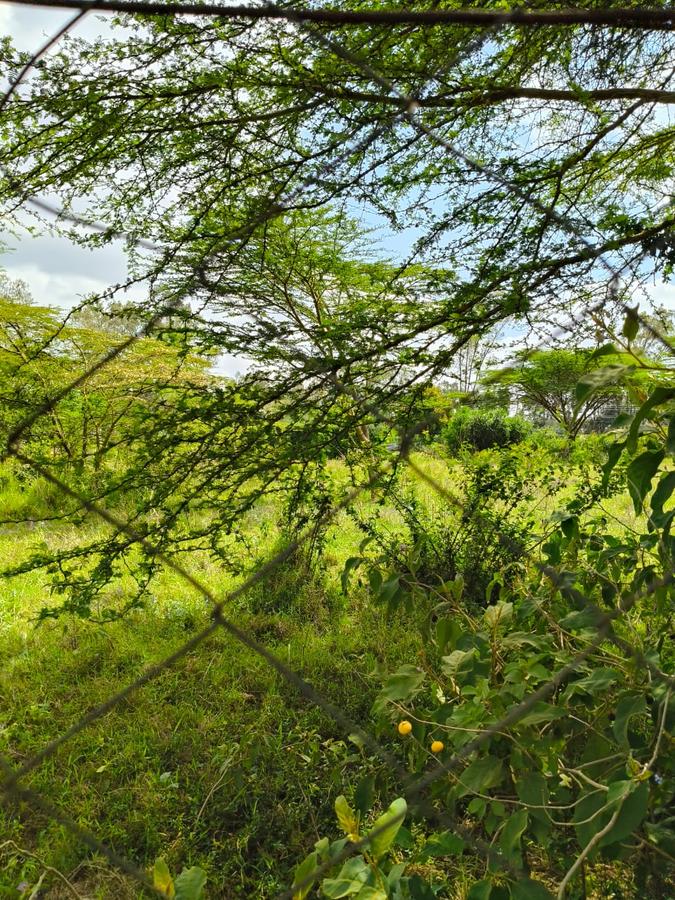 Residential Land at Mukoma - 9