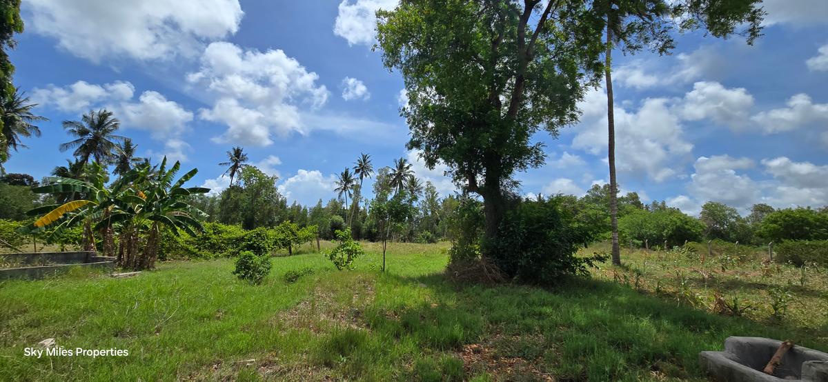 6 ac Land at Bomani - 11