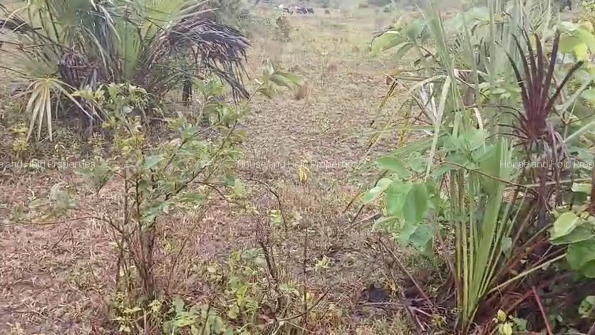 2.8 ha Commercial Land at Tiwi - 15