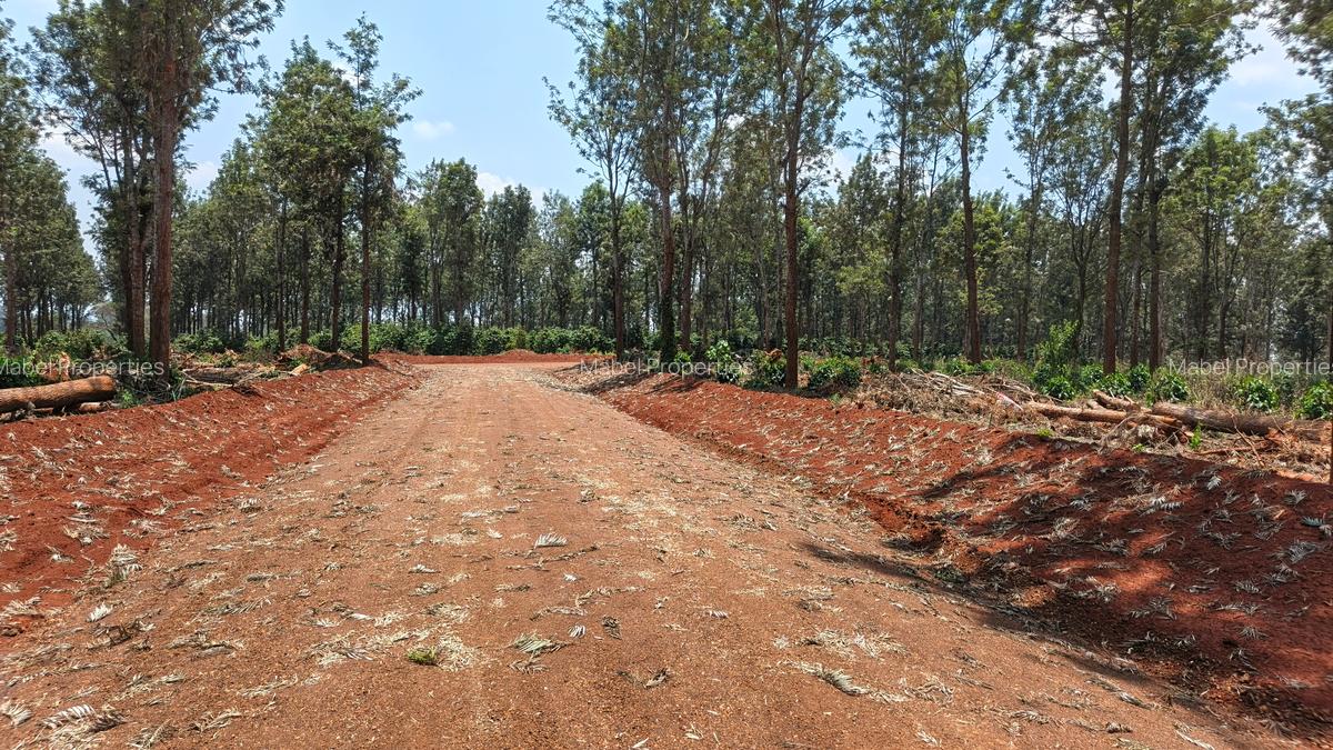 Residential Land in Ruiru - 3