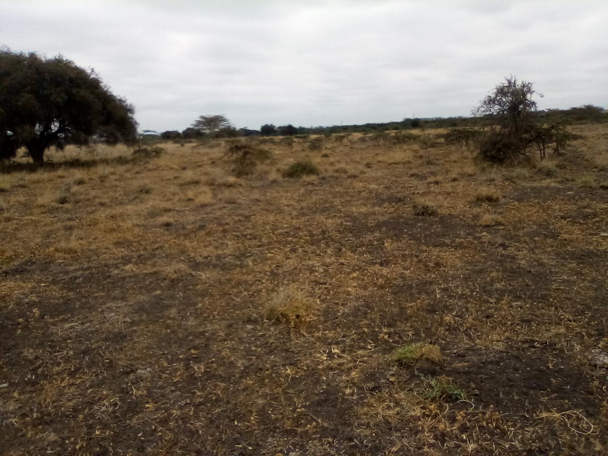 30 ac Land at Off Namanga Rd - 15