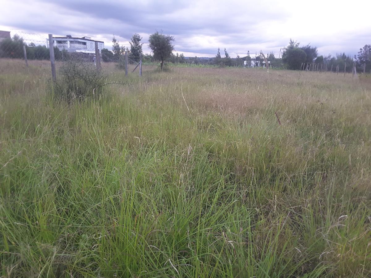 0.113 ac Residential Land in Ongata Rongai - 8