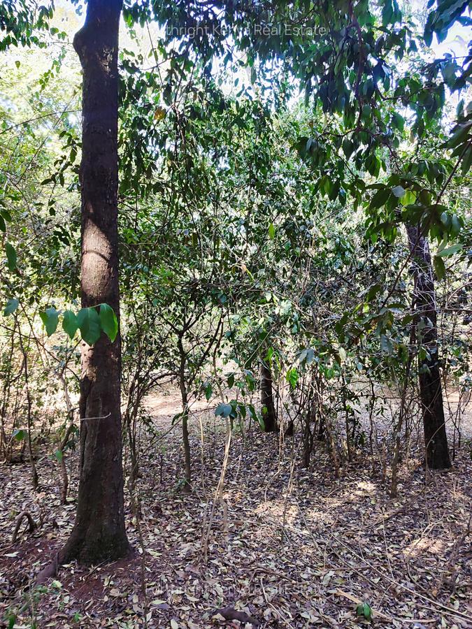 2.3 ac Land at Giraffe Centre - 7