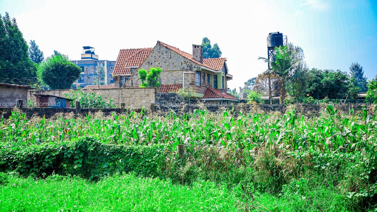 0.1 ha Commercial Land at Sigona - 4