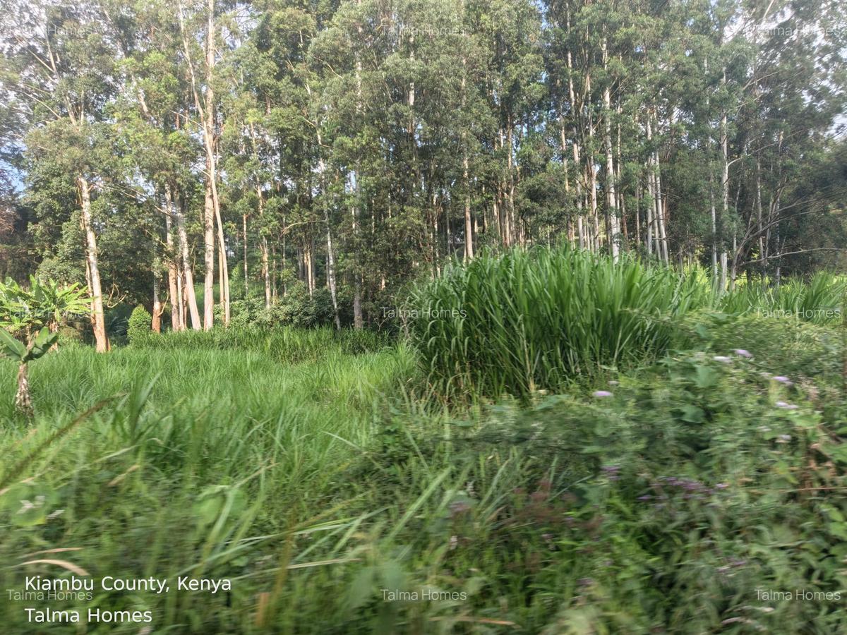 Land at Tigoni - 13