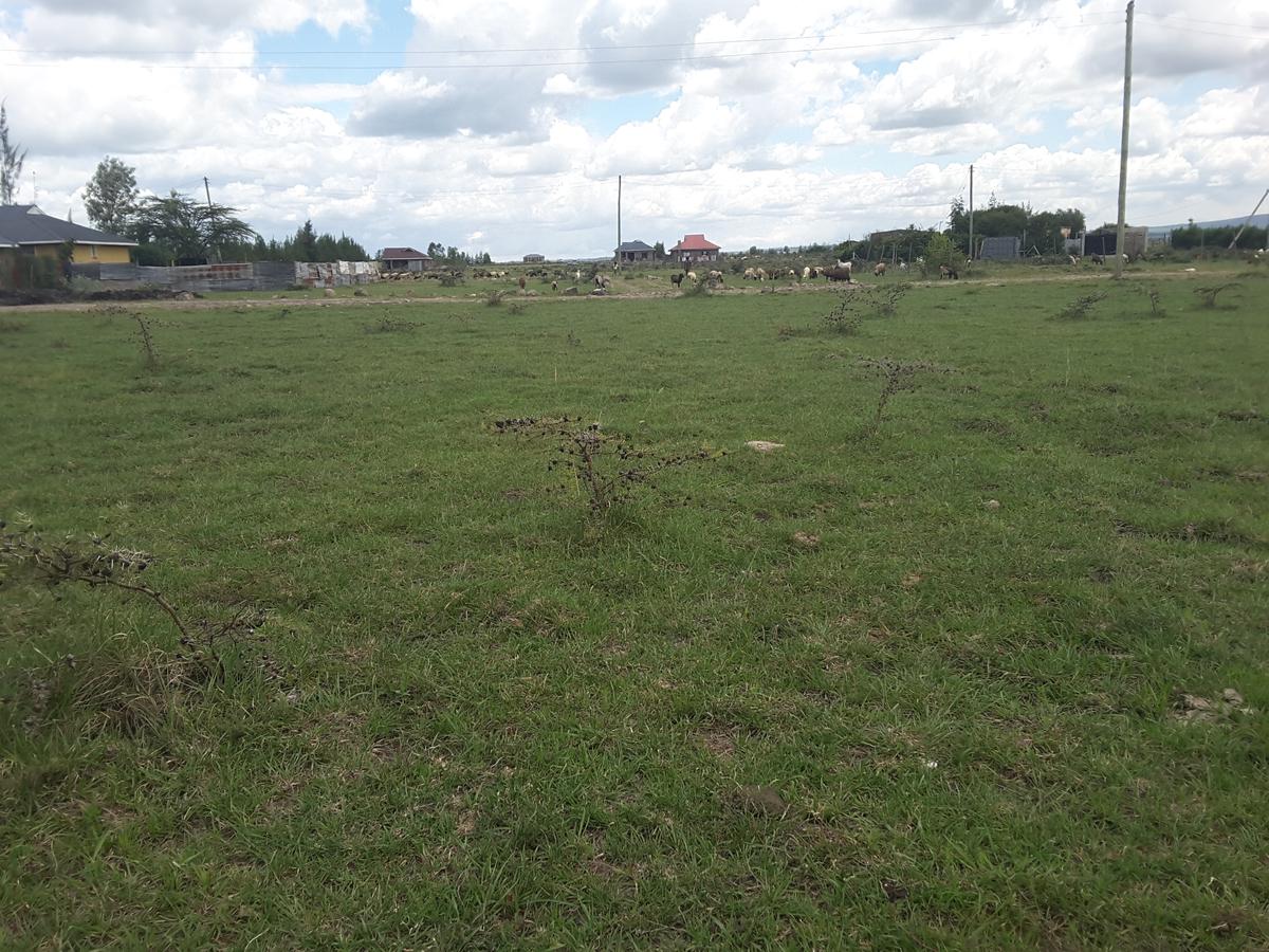 0.1 ha Residential Land in Ongata Rongai - 9