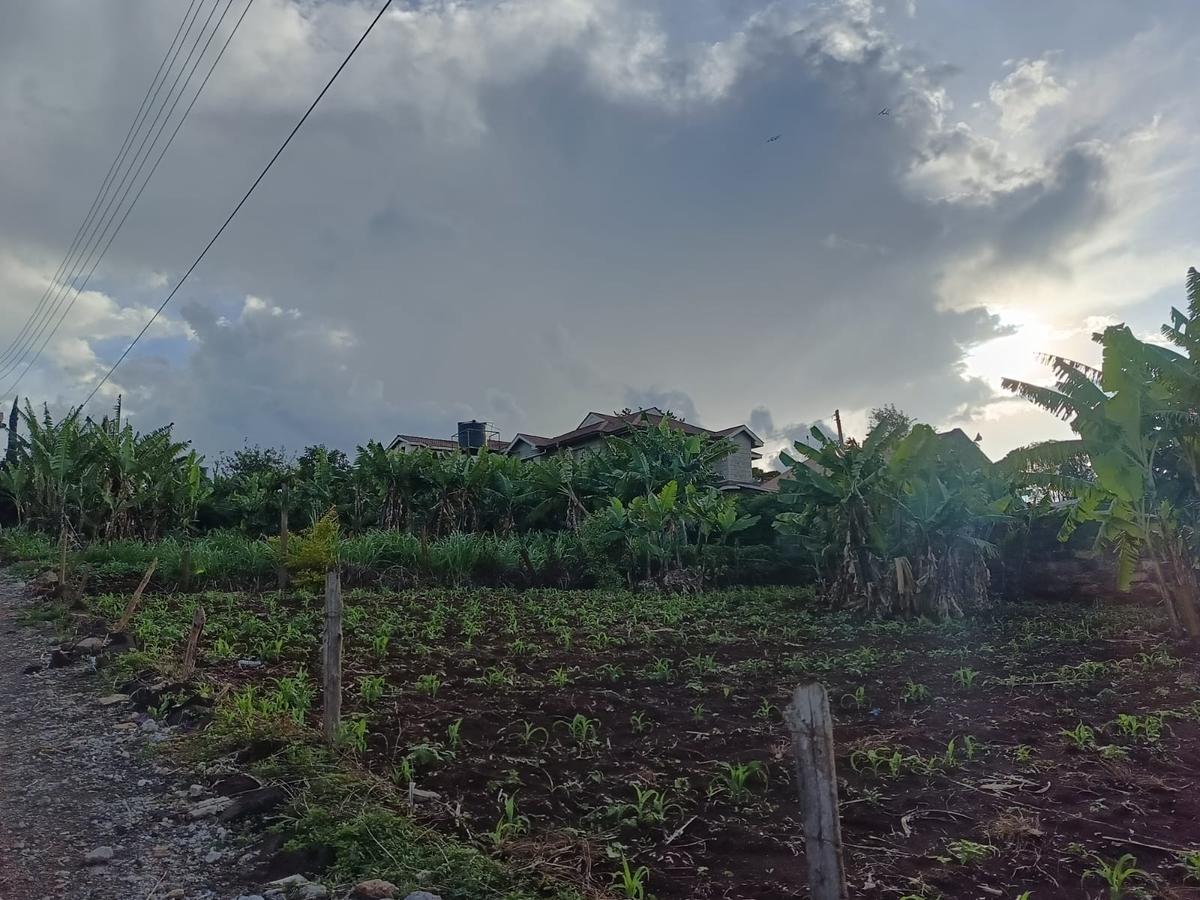 Residential Land at Ruaka - 4