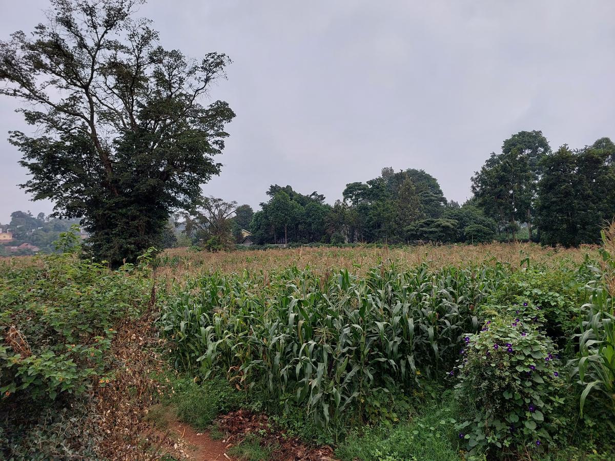 Residential Land at Kitisuru Ridge 44 - 12